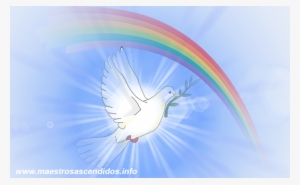 Paloma De La Paz - Doves As Symbols