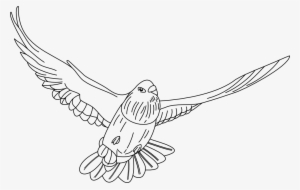 Fichero Pdf - Infografia Sobre La Paz