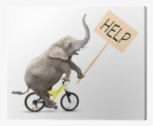 African Elephant On A Bike Holding Protest Sign