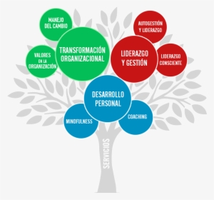 Silvio Raij Árbol De Servicios - Arbol De Desarrollo Personal