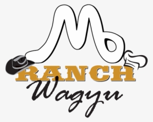 M 6 Ranch