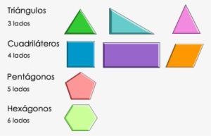 Por El Número De Lados, Los Polígonos Se Organizan - Caracteristicas De Figuras Geometricas