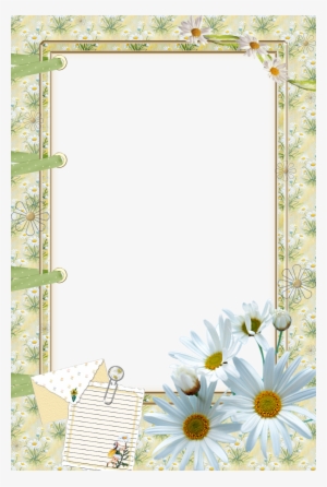 Japeri Tic Tac - Camomile