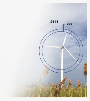 Home-image01 - Grass