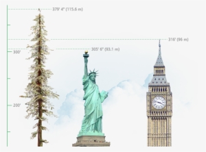 Comparación De Hyperion Respecto A La Estatua De La - Statue Of Liberty
