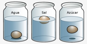 Observa Que El Huevo Se Hunde - Experimentos De Los Estados De La Materia