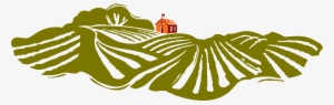 James Winery Schoolhouse And Vineyards Illustration