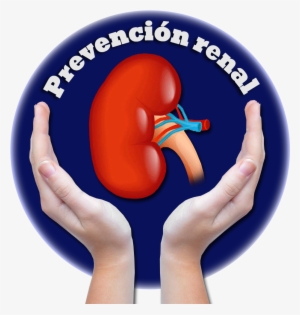 Prevencion Renal