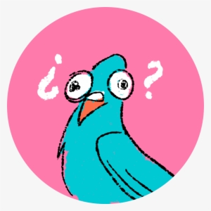 Las Palomas ¿son Peligrosas Para Nuestra Salud, ¿son