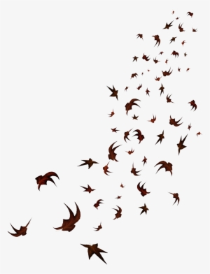 Lindas Imagens De Outono Folhas Em Png Stock Image - Flock