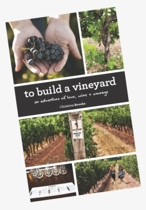 Back 10 Cellars - - Build A Vineyard: An Adventure Of Love, Wine And Courage