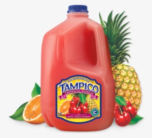 Tampico Tropical Punch