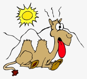 Heat Wave Coming - Custom Hot Camel Mugs