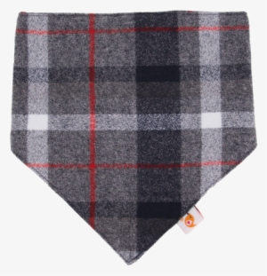 Smart Bottoms Bandana Bib - Scarf