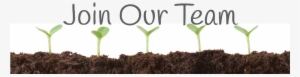 Join Our Team Banner - Seedling