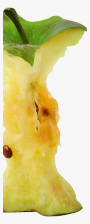 Bigapplecorecopy - Fruit