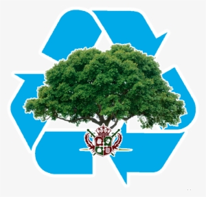 View Larger Image - Trees Our Green Friends