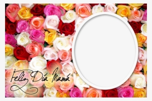 Rosas De Muchos Colores - Flores Del 10 De Mayo