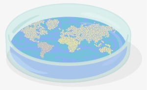 What If Antibiotics Were To Stop Working - King's Fund