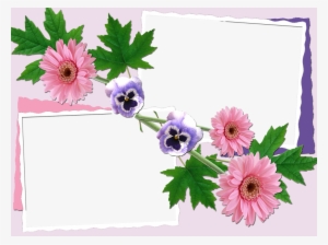 Marcos Para Fotos Con Flores - Beautiful Flowers Photo Frames