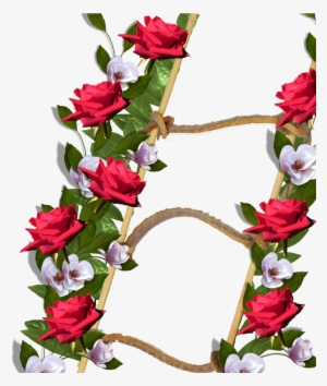 Marcos De Flores Png Imagui - Picture Frame