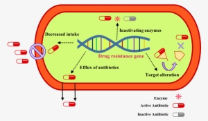 Antimicrobial Resistance Mechanism Logo