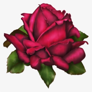 Purple Roses Png
