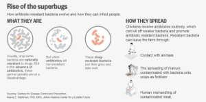Sr Antibiotics - Rise Of Superbugs