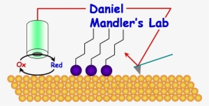 Synthesis, Coating, And Drug-release Of Hydroxyapatite - The Institute Of Chemistry