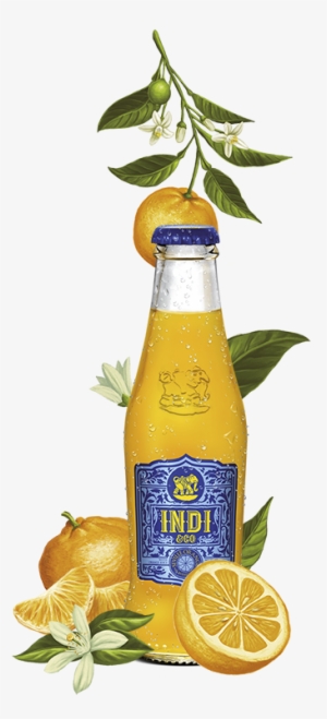 Indi & Co Seville Orange Juice 200ml Nrb