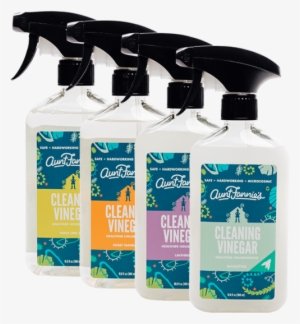 Aunt Fannies Cleaning Vinegar - Aunt Fannie's Cleaning Vinegar