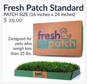 Fresh Patch Disposable Dog Potty With Real Grass -