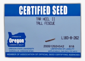 Seed Classes And Their Tags