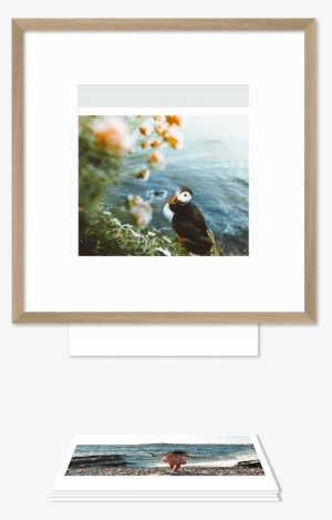 Reframe - Picture Frame