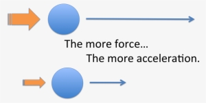 This Shows That The Action Of Going Up, Forces The - Newton's Second Law Of Motion In Swimming