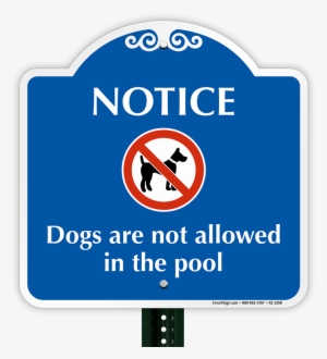 No Dogs Allowed In The Pool