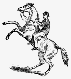 Man Riding A Rearing Horse Vector Image Public Domain - Horse Riding Clip Art