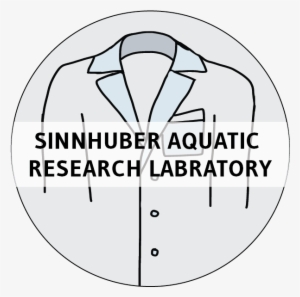 Zebrafish Biomedical Research - Clip Art