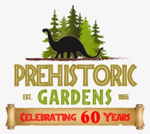 Pg 60 Years Scroll Outline - Prehistoric Gardens