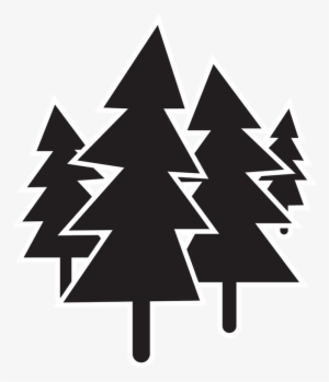 Forest Tree Icon Png