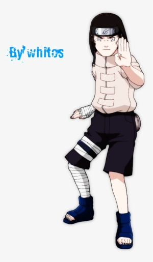 Image And Video Hosting By Tinypic - Naruto Hyūga Neji 1st Cosplay Costumes