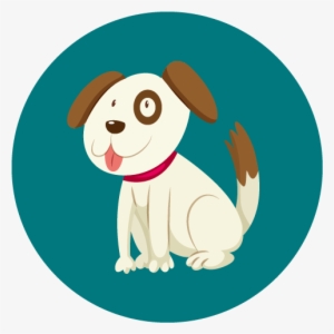 Walter Is A Border Collie Born In - Dog