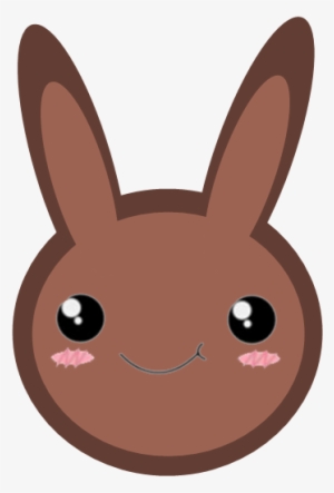 Domestic Rabbit
