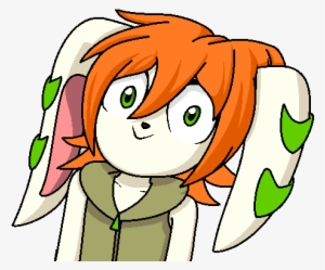 Main Image - Freedom Planet Milla Face