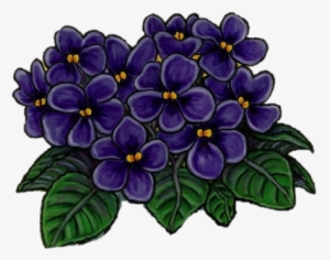 Winston-salem Alumnae Chapter - African Violet Delta Sigma Theta