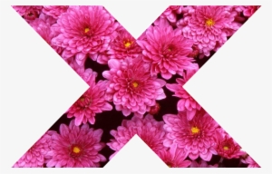 X X Cross Flower Pink Girly Pink Nature Collor Tumblr