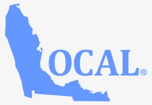 Ice Blue Decal - Florida Map