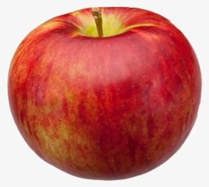 Royal Cortland Apple Png