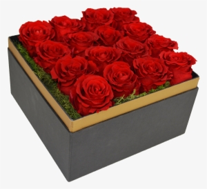 Beautifully Preserved Roses From Luxe Bloom Official - Luxe Bloom Single Lasting Luxury Rose Rosa