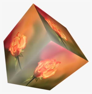 Cube Flower Rose Orange Dwürfel Transparent Background - Цветок Прозрачный Фон